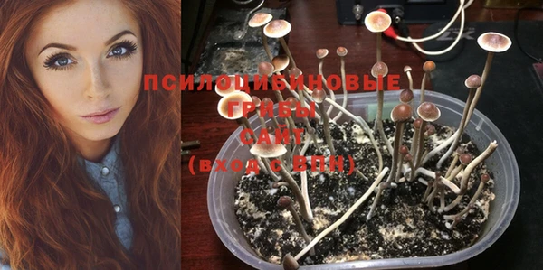 MDMA Premium VHQ Нягань