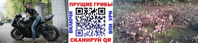 Псилоцибиновые грибы прущие грибы  Ангарск 