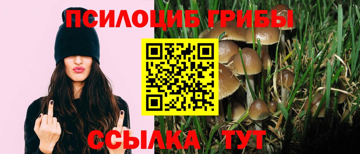 Галлюциногенные грибы Psilocybine cubensis  Галлюциногенные грибы Psilocybine cubensis  Вход с VPN  где купить наркоту  Ангарск 